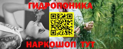 mdma Аргун
