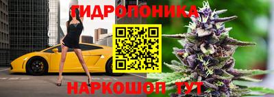 mdma Аргун