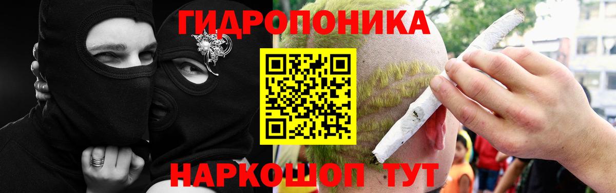 Канабис сатива  Вход с VPN  Каннабис индика  Шишки марихуана White Widow  Артём  Канабис планчик 